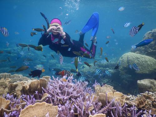 une femme plongée avec tuba dans un récif corallien avec des poissons dans l'établissement Omah Alchy Cottages, à Karimunjawa