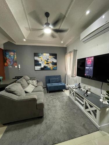 ein Wohnzimmer mit einem Sofa und einem Flachbild-TV in der Unterkunft Idyllic Condo in Liguanea in Kingston