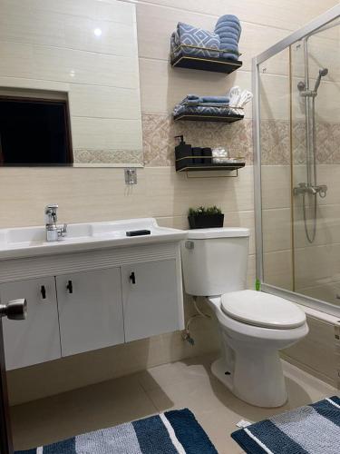 ein Bad mit einem WC, einem Waschbecken und einer Dusche in der Unterkunft Idyllic Condo in Liguanea in Kingston