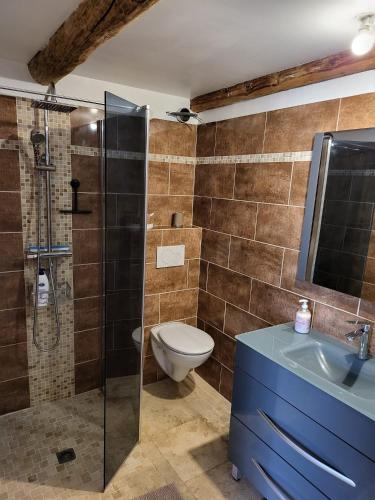 une salle de bain avec toilettes, douche et lavabo dans l'établissement Maison de village entièrement rénovée avec goût, à Sillans-la-Cascade