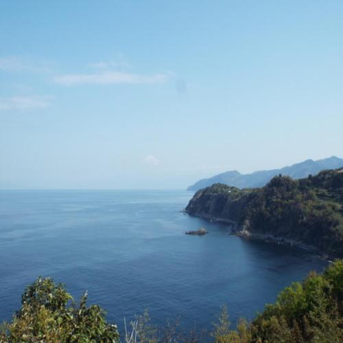 a view of the ocean from a hillside at Fugaku Gunjo in Izu