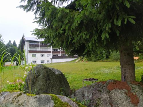 a tree and rocks in a field with a building at Appartementhaus Tannenhof - Wohnung 2 in Haidmühle