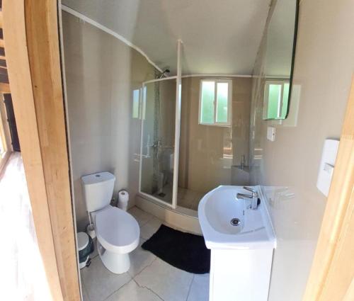 a bathroom with a toilet and a shower and a sink at Lodge in the Woods in Puerto Montt