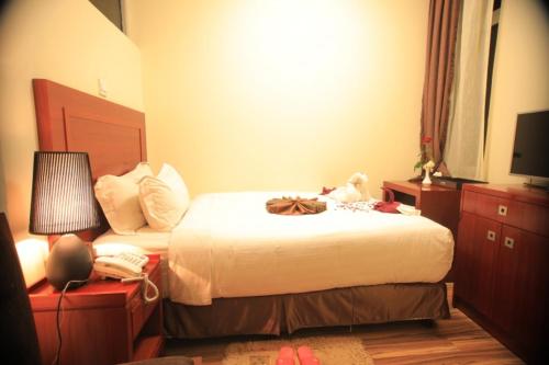 亚的斯亚贝巴Hotel Miracle的相册照片