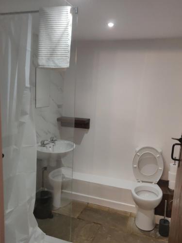 uma casa de banho com um WC e um lavatório em The Forge Kington St Michael em Chippenham
