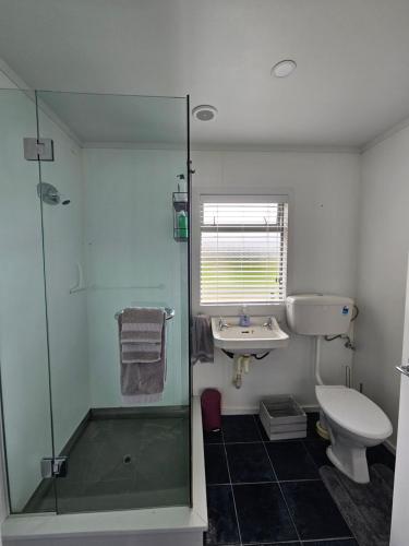een badkamer met een douche, een wastafel en een toilet bij Ridgetop Farmstay in Oruanui