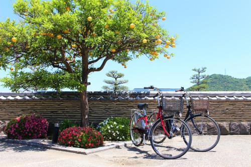 two bikes are parked next to a tree at Hagi No Yado Tomoe in Hagi
