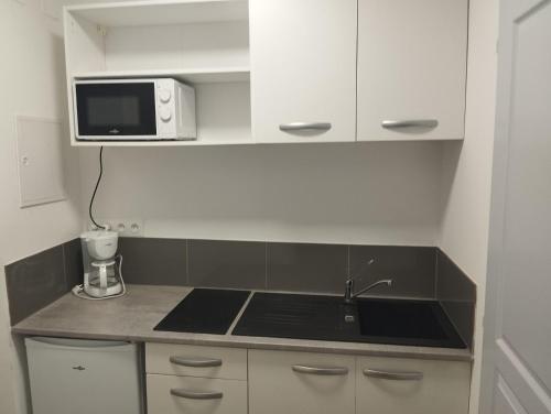 a small kitchen with a sink and a microwave at ALBICASA appart hotel in Albi
