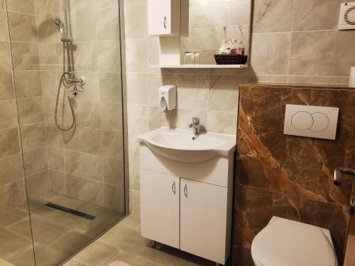a bathroom with a shower and a sink and a toilet at Villa Dvor SUBOTICA in Subotica