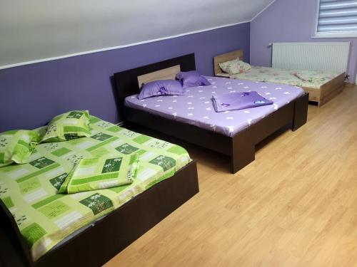 duas camas num quarto com paredes roxas em Pensiunea Ilarie em Cărpiniş
