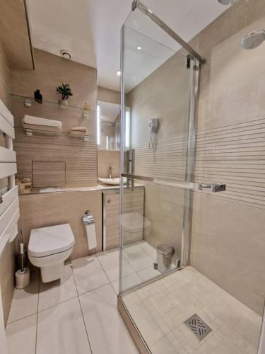 une salle de bain avec une douche, des toilettes et un lavabo dans l'établissement Charmant 2 pièces à deux pas de la mer, à Cabourg