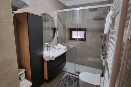 La salle de bains est pourvue d'un lavabo et d'une douche. dans l'établissement APARTMENT GORDANA A4+2 FOR 6 PAX NATURE PARK, à Lokve