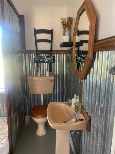 a bathroom with a sink and a toilet and a mirror at JanRI Gasteplaas in Strydenburg