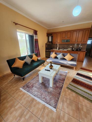 a living room with two couches and a coffee table at Vila Antigonea in Gjirokastër