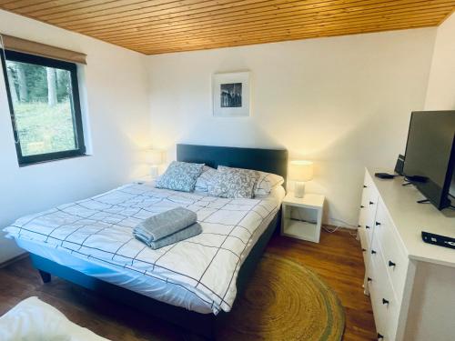 a bedroom with a bed and a flat screen tv at Chata Adam u Lipna in Horní Planá