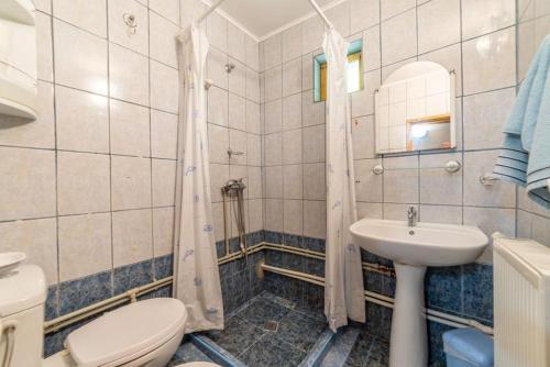 y baño con aseo y lavamanos. en Cabana Râușor, en Cîmpulung