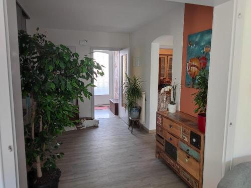 uma sala de estar com uma cómoda e vasos de plantas em Villa de plain-pied au calme em Mundolsheim