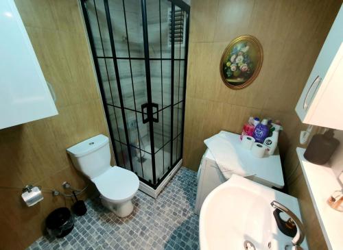 Baño pequeño con aseo y lavamanos en Calm & Cosy Flat in Perfect Location Nişantaşı en Estambul
