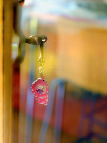 a key chain with a skull on it in front of books at Petit coin de paradis, vue panoramique mer &montagne, piscine privée... in Calcatoggio