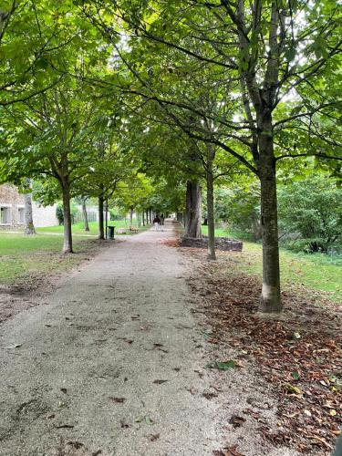 un chemin de terre dans un parc arboré dans l'établissement Appartement - Chic et Cosy à 30 minutes de Paris et 25 minutes de Disney, à Ozoir-la-Ferrière