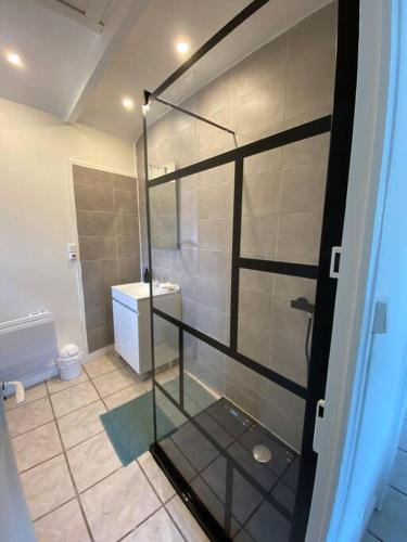 une salle de bain avec une douche en verre et des toilettes dans l'établissement Maison à Pouilly en Auxois, à Pouilly-en-Auxois