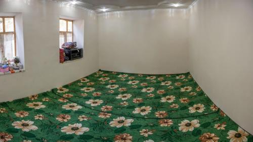 Zimmer mit grüner Decke auf dem Boden in der Unterkunft Zhanysh Guest House 