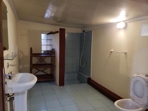ein Bad mit einem Waschbecken, einem WC und einer Dusche in der Unterkunft Hotel Le Petit Paradis in Diego Suarez