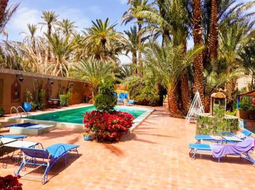 a resort with a swimming pool and palm trees at Chez Ali in Zagora