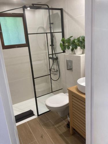 une salle de bain avec une douche avec des toilettes et un lavabo dans l'établissement Charmant Studio Lavandou - 500m plage, au Lavandou