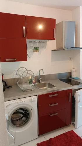 eine Küche mit einer Waschmaschine und einem Waschbecken in der Unterkunft studio en face des salines in Salins-les-Bains