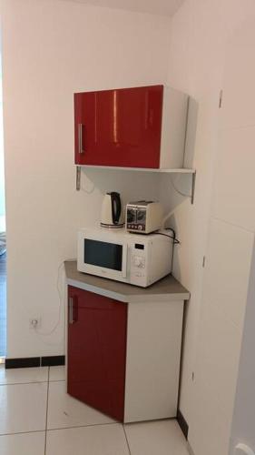 eine Mikrowelle auf einer Theke in einer Küche in der Unterkunft studio en face des salines in Salins-les-Bains