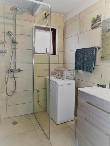 a bathroom with a shower and a toilet and a sink at Zeepolder I 3 in De Haan