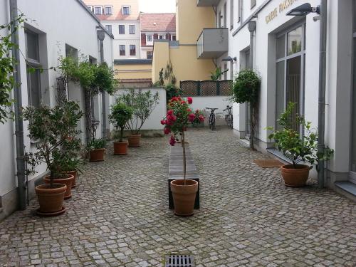 eine Gasse mit Topfpflanzen an der Seite eines Gebäudes in der Unterkunft Ferienhaus im Barockviertel in Dresden