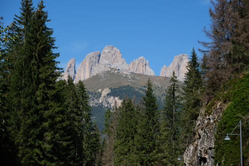 Paesaggio naturale nelle vicinanze dell'appartamento