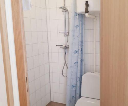 a bathroom with a shower with a toilet in it at FjellRo 