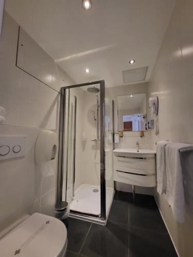 La salle de bains est pourvue d'une douche et de toilettes. dans l'établissement Kyriad Saint Quentin en Yvelines - Montigny, à Montigny-le-Bretonneux