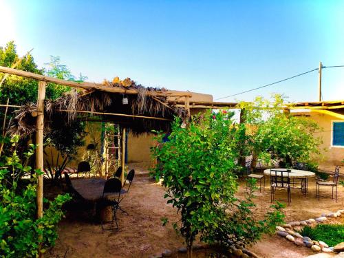 een tuin met stoelen en een tafel en een huis bij Dar Oasis Moringa in Merzane