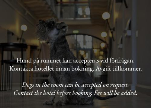 a dog sitting on a chair in a room at Långholmen Hotell in Stockholm