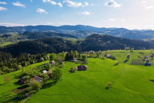 una vista aerea di un pascolo verde con montagne sullo sfondo di Aronija Zlatar a Nova Varoš