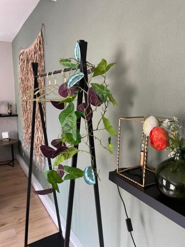 a plant on a stand next to a shelf with a mirror at Castle View 2 in Valkenburg