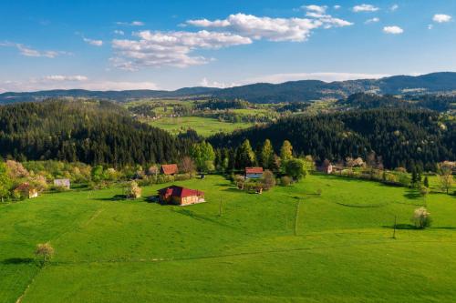 una vista aerea su un campo verde con fienile e alberi di Aronija Zlatar a Nova Varoš