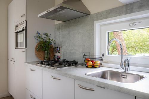 a white kitchen with a sink and a window at Lodge IJsvogel Nunspeet Veluwe in Nunspeet