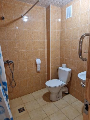 un baño con inodoro y lavabo en Kambarių nuoma Žeimelyje, en Žeimelis