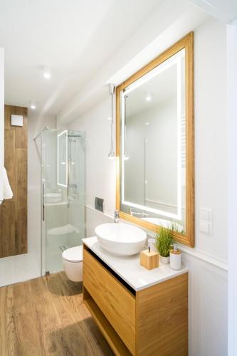 a bathroom with a sink and a toilet and a shower at Apartament Magiczne Podhale by Apart Concept Podhale in Kościelisko