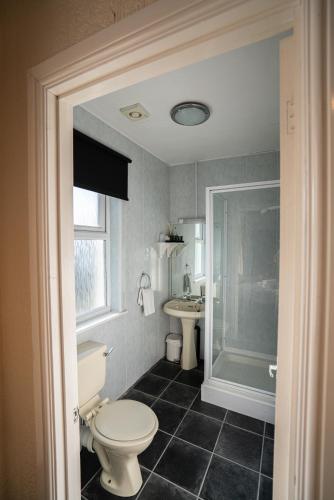 a bathroom with a toilet and a sink at Can-Y-Bae Hotel in Llandudno