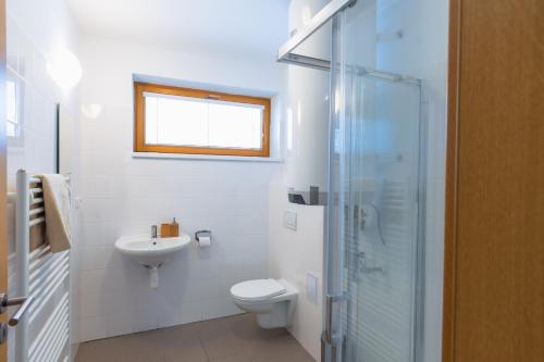 a bathroom with a toilet and a sink and a shower at Hájenka Kozlov in Litomyšl