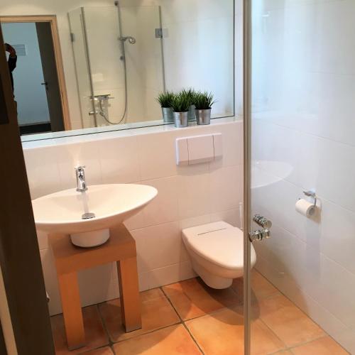 a bathroom with a sink and a toilet and a mirror at Ferienwohnung Schleistrand in Kappeln