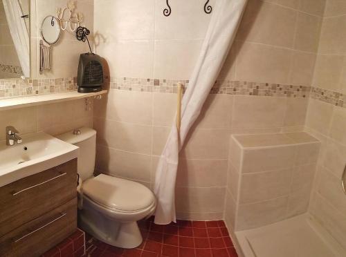 une salle de bain avec toilettes, douche et lavabo dans l'établissement Moulin de la Passere, à Eus