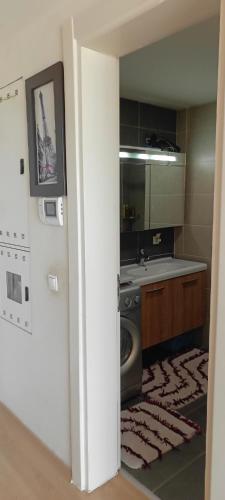 La salle de bains est pourvue d'un lavabo et d'un lave-linge. dans l'établissement Miks Residence, à Istanbul