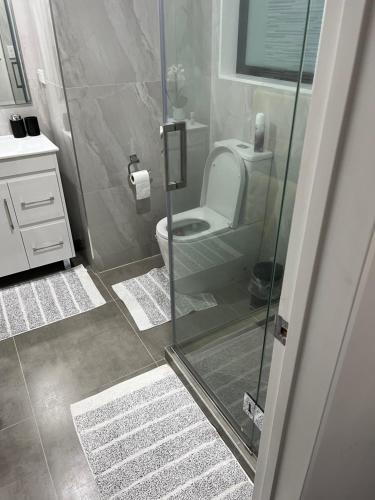 a bathroom with a toilet and a glass shower at Private resident in Auckland